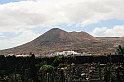 Kanary_2010 229